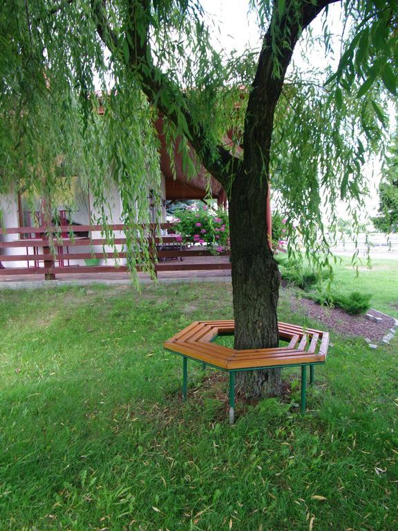 Pokoje Goscinne Stare Miasto  Exterior foto